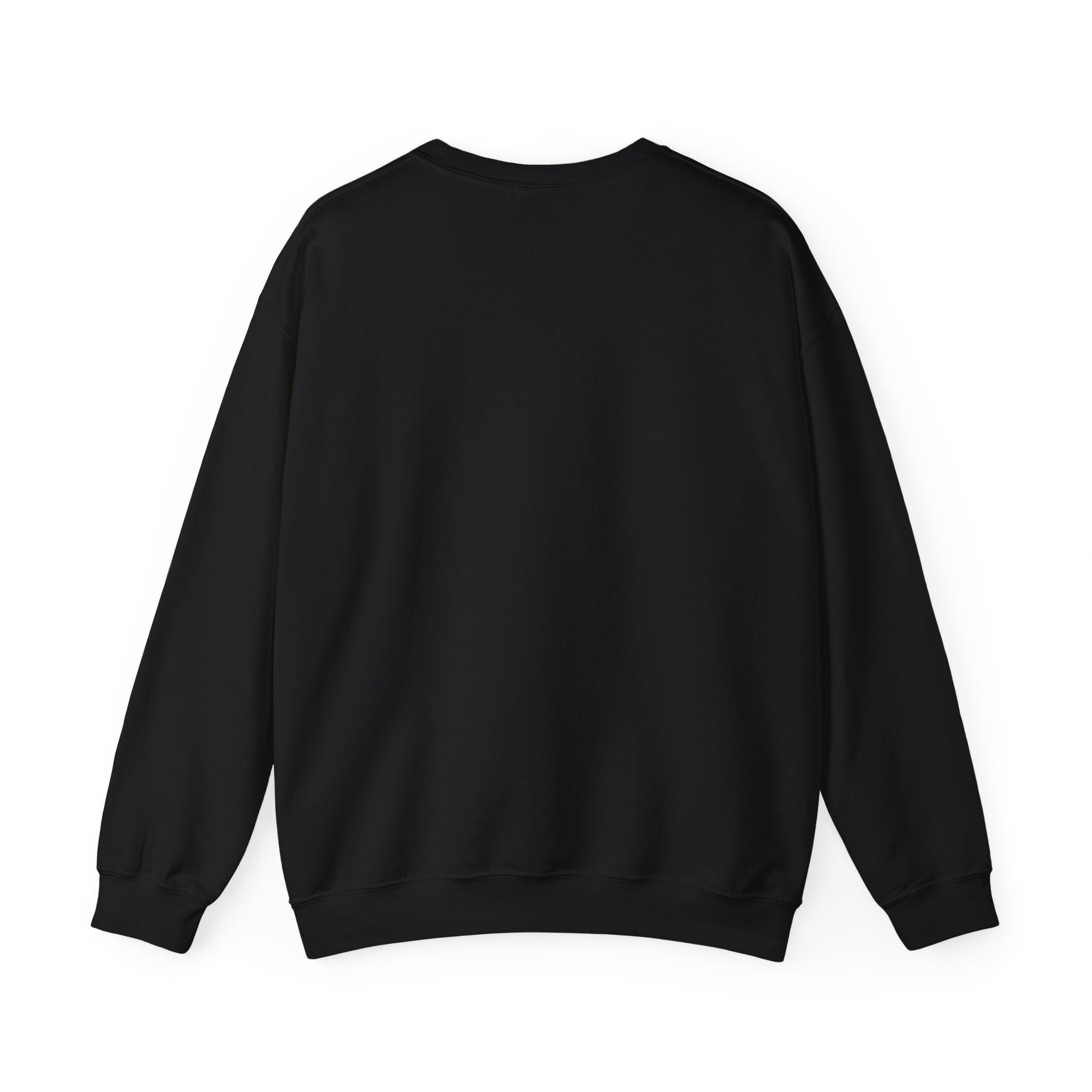 Study Break Crewneck Sweatshirt — "Don't Wanna Study Today :/" Graphic