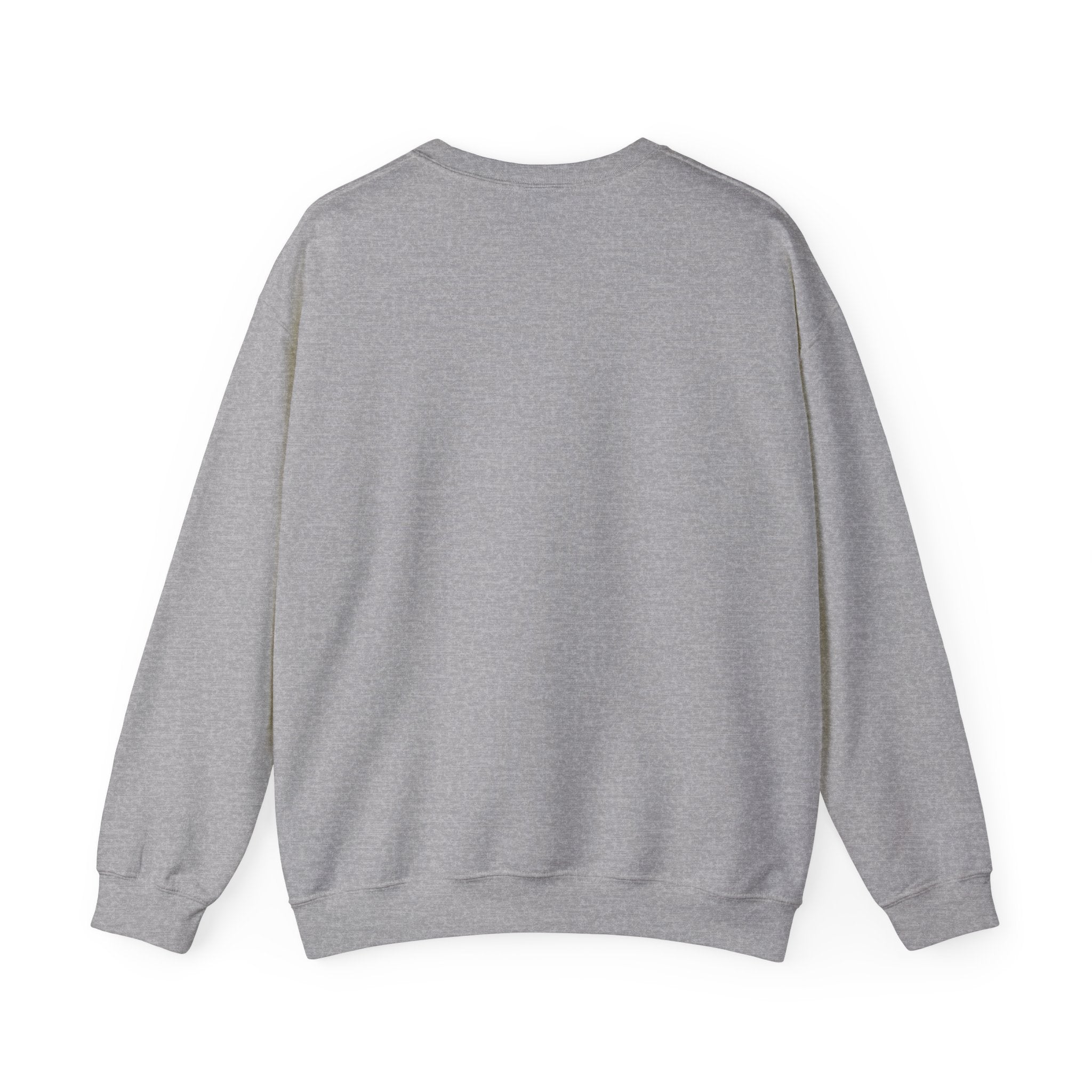 Study Break Crewneck Sweatshirt — "Don't Wanna Study Today :/" Graphic