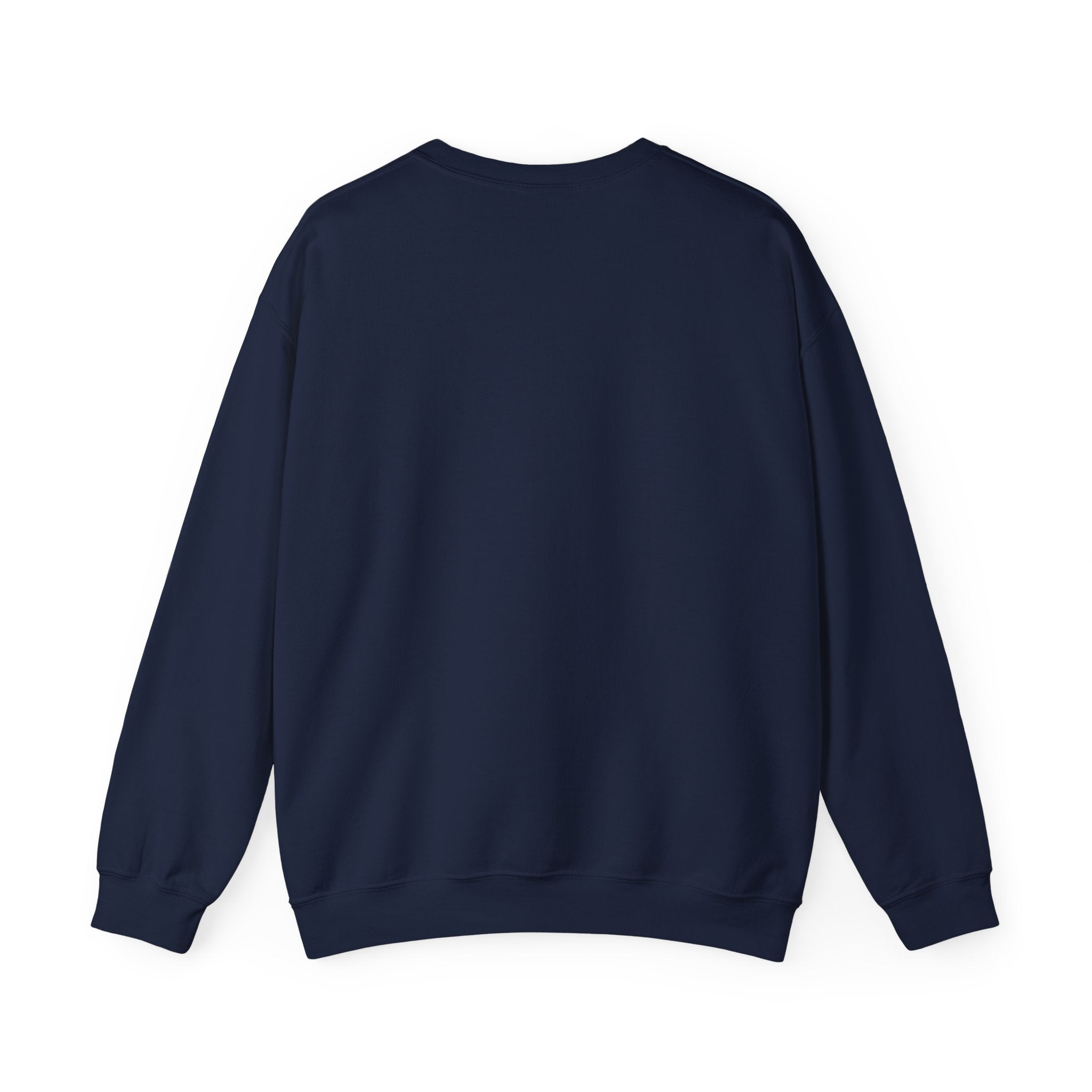 Study Break Crewneck Sweatshirt — "Don't Wanna Study Today :/" Graphic